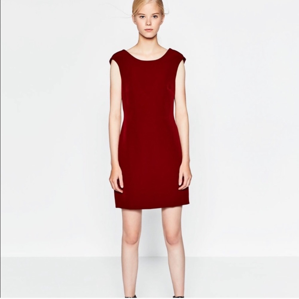 Zara Wine Color Back Cut Out Cocktail Dress